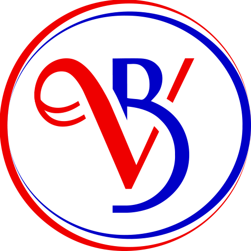 favicon-digital-dra-viviane-borges-angiologia-e-cirurgia-vascular